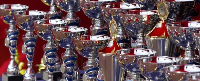 How Important are Trophies and Awards