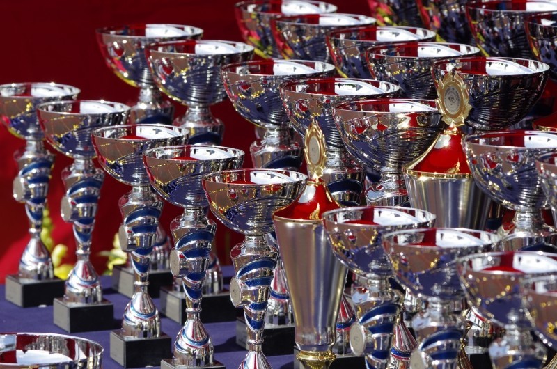 How Important are Trophies and Awards