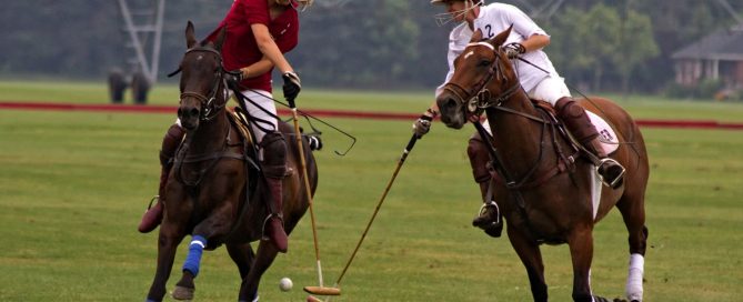 2 people on horses playing polo