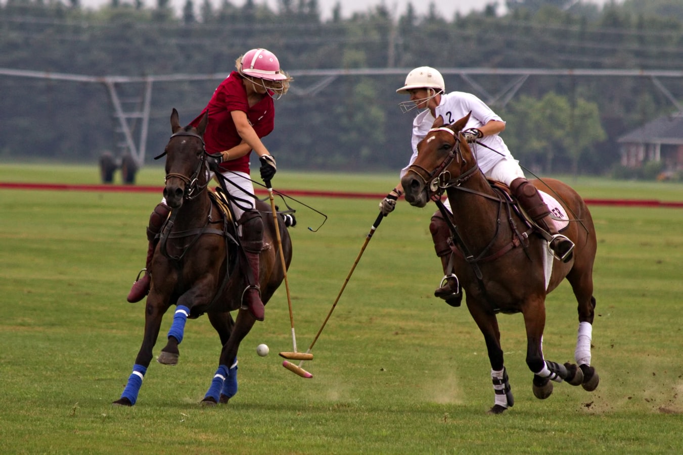 2 people on horses playing polo